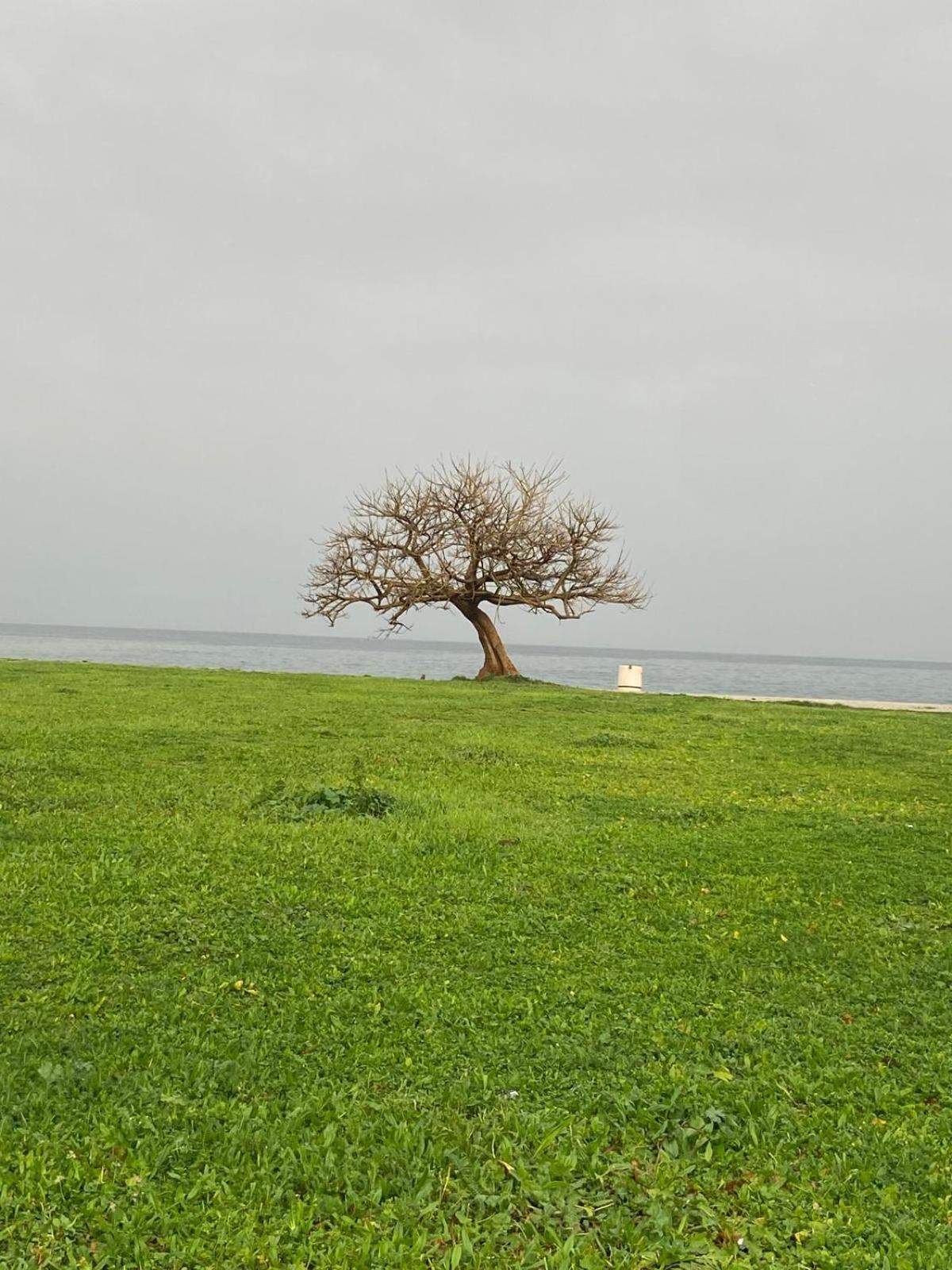 I Giardini Di Villa Giulia Palermo Zewnętrze zdjęcie